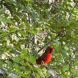 Thank you for shopping in my closet!